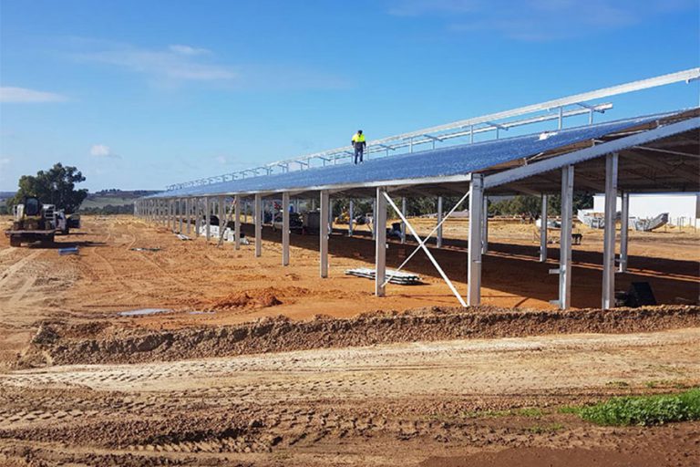 Piggery-in-Australia