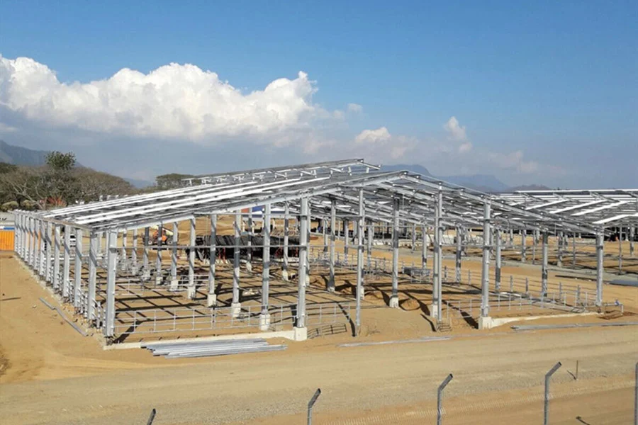 The Ultimate Guide to Steel Portal Frame Structures: Design, Costs, and Global Applications插图2 Cattle-farm-in-Papua-New-Guinea2