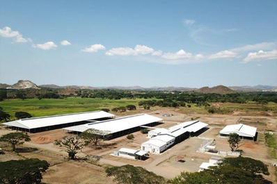 Planning an Integrated Cattle Farm Building System: What Facilities Must Work Together?插图 Planning an Integrated Cattle Farm Building System: What Facilities Must Work Together?