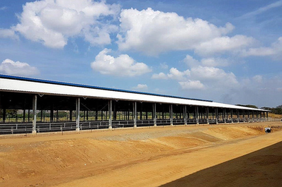 Planning an Integrated Cattle Farm Building System: What Facilities Must Work Together?插图1 Planning an Integrated Cattle Farm Building System: What Facilities Must Work Together?