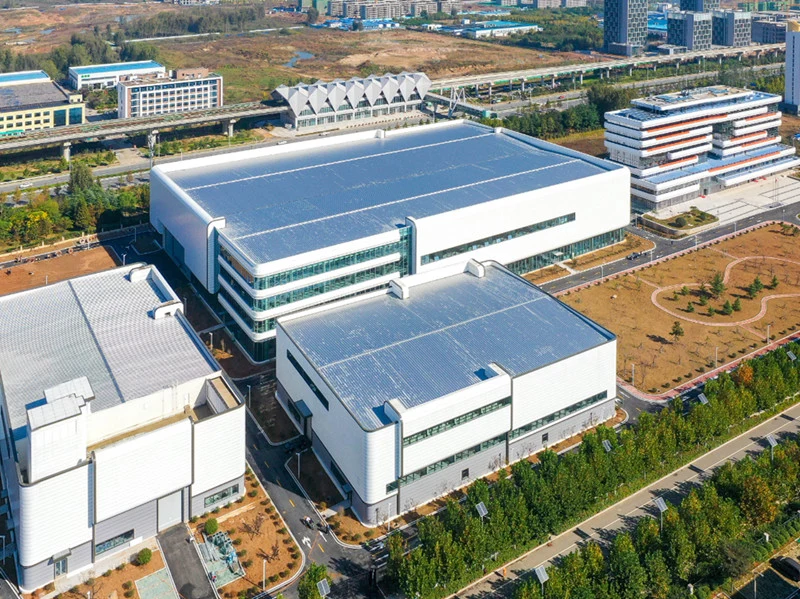 International Steel Building Delivery Roles and Milestones
